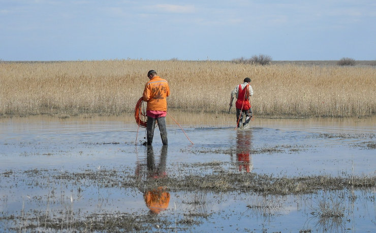 Geophone deployment in marsh area in Kazakhstan